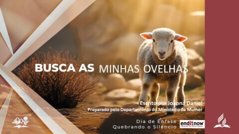 Busca as minhas ovelhas