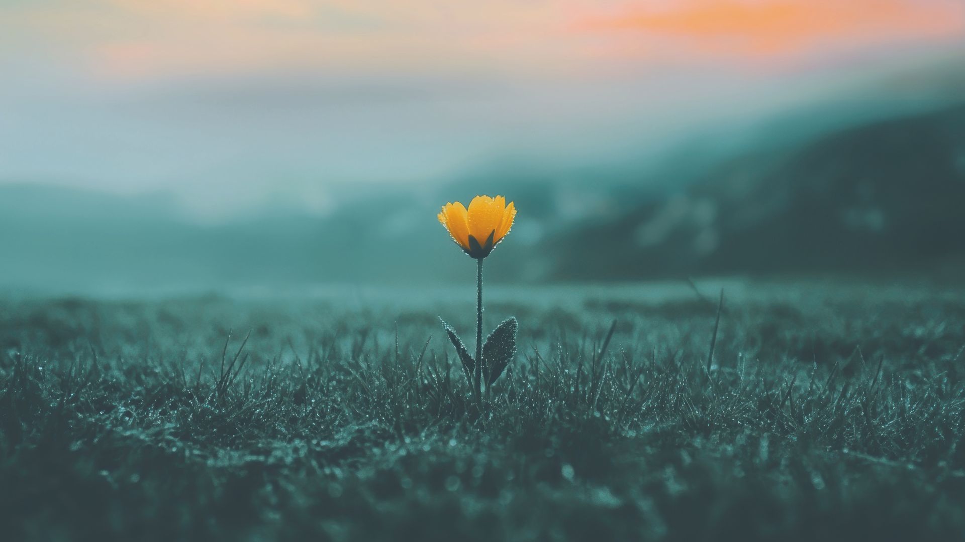 Capa do Manual de Estudo da Escola Sabatina – 2.ºT 2026