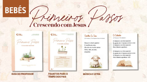 Primeiros Passos